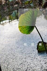税款逾期未缴纳会有什么影响 税款逾期未缴纳会有什么影响