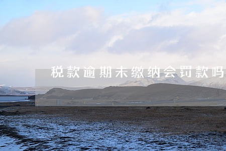 税款逾期未缴纳会罚款吗 税款逾期未缴纳会罚款吗