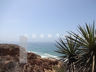 税款逾期滞纳金会计处理 税款逾期滞纳金会计处理