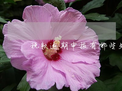 税款逾期申报有哪些处罚 税款逾期申报有哪些处罚