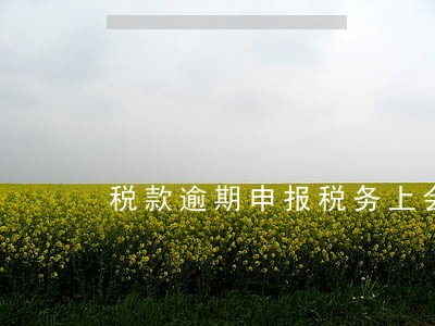 税款逾期申报税务上会提醒吗 税款逾期申报税务上会提醒吗