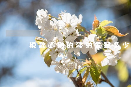 税款逾期的滞纳金是多少 税款逾期的滞纳金是多少