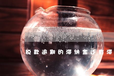 税款逾期的滞纳金还有滞纳金吗 税款逾期的滞纳金还有滞纳金吗