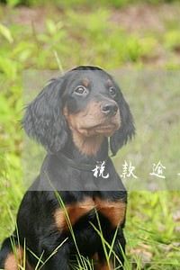 税款逾期税务信用扣几分 税款逾期税务信用扣几分