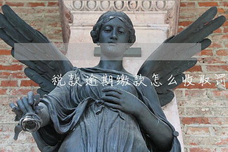 税款逾期缴款怎么收取罚款 税款逾期缴款怎么收取罚款