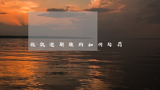 税款逾期缴纳如何处罚 税款逾期缴纳如何处罚