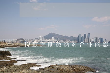 税款逾期缴纳对企业的影响 税款逾期缴纳对企业的影响