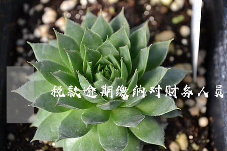 税款逾期缴纳对财务人员的影响 税款逾期缴纳对财务人员的影响