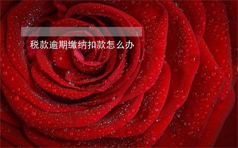 税款逾期缴纳扣款怎么办 税款逾期缴纳扣款怎么办