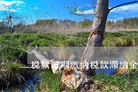 税款逾期缴纳税款滞纳金 税款逾期缴纳税款滞纳金