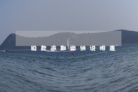 税款逾期缴纳说明表 税款逾期缴纳说明表