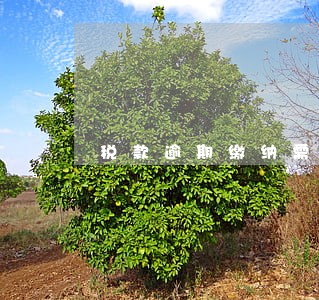 税款逾期缴纳需要缴滞纳金多少 税款逾期缴纳需要缴滞纳金多少