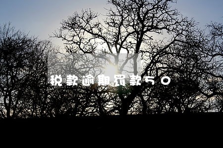 税款逾期罚款50 税款逾期罚款50