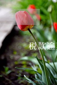 税款逾期罚款怎么算的 税款逾期罚款怎么算的
