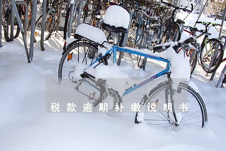 税款逾期补缴说明书 税款逾期补缴说明书