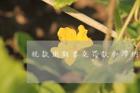 税款逾期要交罚款和滞纳金 税款逾期要交罚款和滞纳金