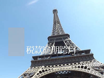 税款逾期跨月