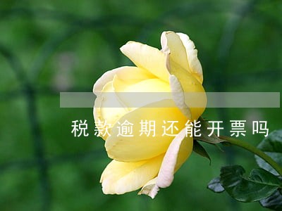 税款逾期还能开票吗 税款逾期还能开票吗
