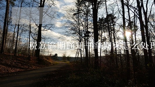 税款逾期通知书拿回来怎么处理 税款逾期通知书拿回来怎么处理