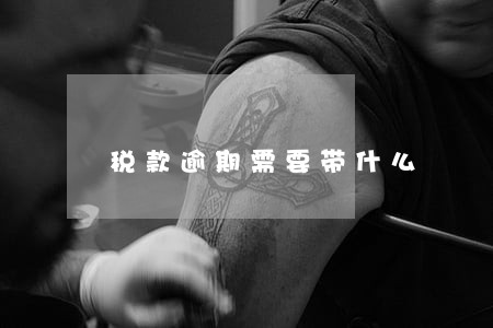税款逾期需要带什么 税款逾期需要带什么