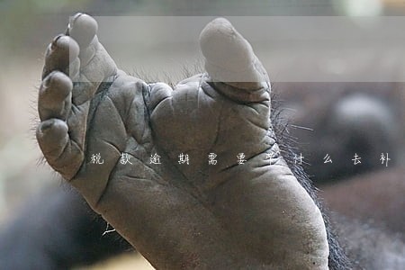 税款逾期需要带什么去补缴
