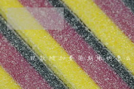 税款附加费逾期缴纳怎么扣分
