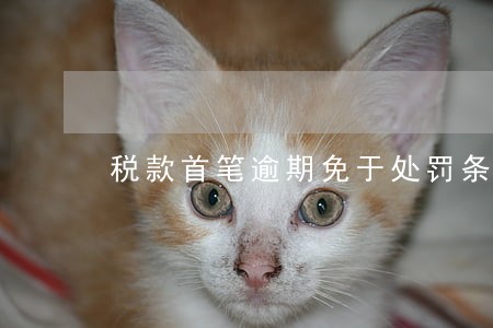 税款首笔逾期免于处罚条件 税款首笔逾期免于处罚条件