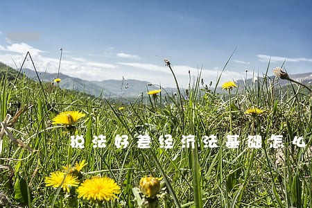 税法好差经济法基础怎么考 税法好差经济法基础怎么考