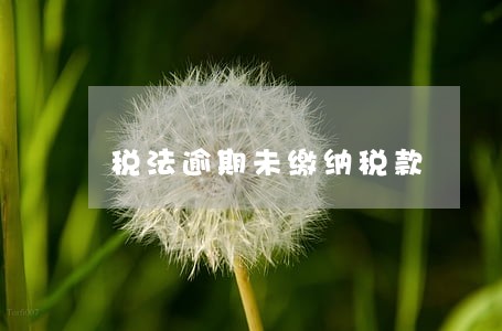 税法逾期未缴纳税款 税法逾期未缴纳税款