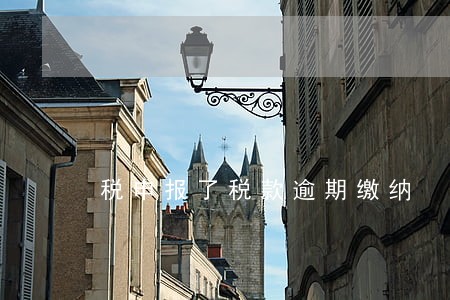 税申报了税款逾期缴纳 税申报了税款逾期缴纳