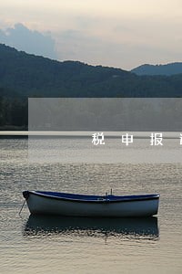 税申报逾期怎么办 税申报逾期怎么办