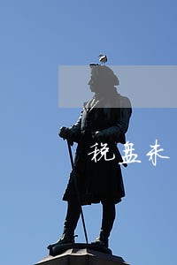 税盘未清卡显示逾期 税盘未清卡显示逾期