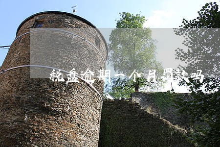 税盘逾期一个月罚款吗 税盘逾期一个月罚款吗