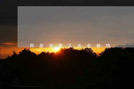 税盘逾期几天会被锁 税盘逾期几天会被锁