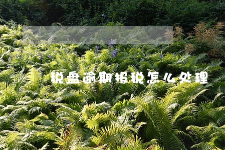 税盘逾期报税怎么处理 税盘逾期报税怎么处理