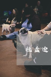 税盘逾期未申报怎么办 税盘逾期未申报怎么办