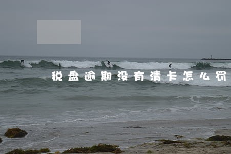 税盘逾期没有清卡怎么罚款 税盘逾期没有清卡怎么罚款