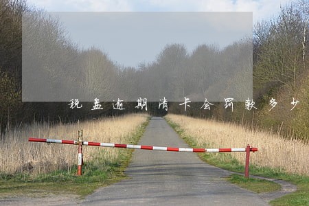 税盘逾期清卡会罚款多少钱 税盘逾期清卡会罚款多少钱