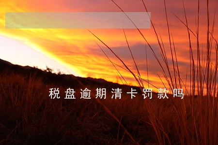 税盘逾期清卡罚款吗 税盘逾期清卡罚款吗