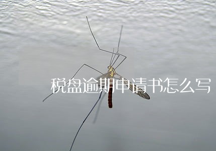 税盘逾期申请书怎么写 税盘逾期申请书怎么写