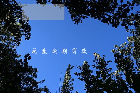 税盘逾期罚款 税盘逾期罚款