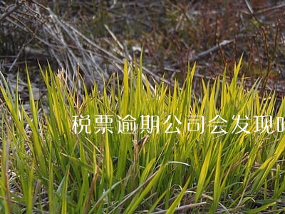 税票逾期公司会发现吗 税票逾期公司会发现吗