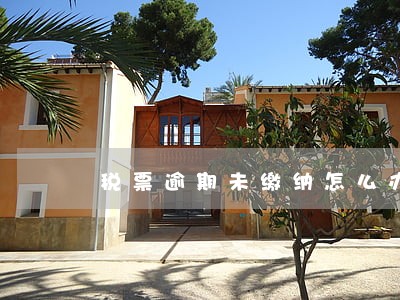 税票逾期未缴纳怎么办 税票逾期未缴纳怎么办