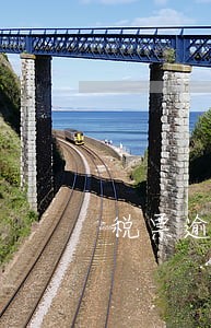 税票逾期申报 税票逾期申报