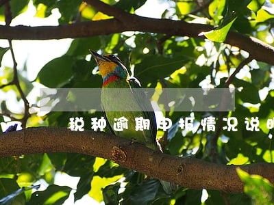 税种逾期申报情况说明 税种逾期申报情况说明