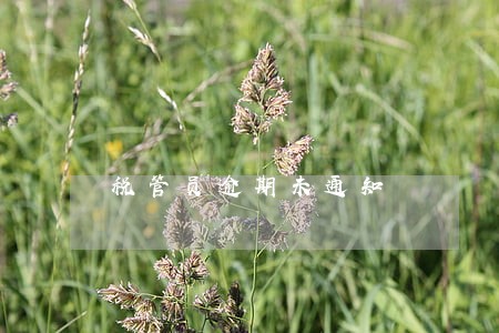 税管员逾期未通知 税管员逾期未通知