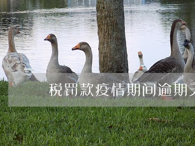 税罚款疫情期间逾期天数 税罚款疫情期间逾期天数