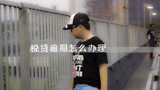 税贷逾期怎么办理 税贷逾期怎么办理