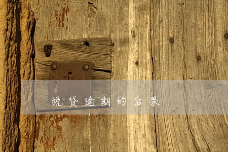税贷逾期的后果 税贷逾期的后果
