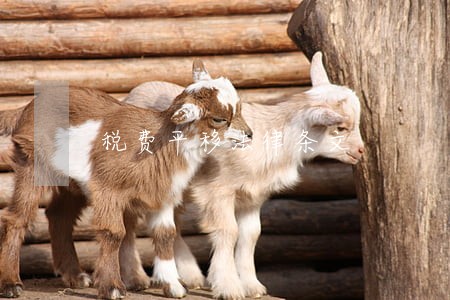 税费平移法律条文 税费平移法律条文
